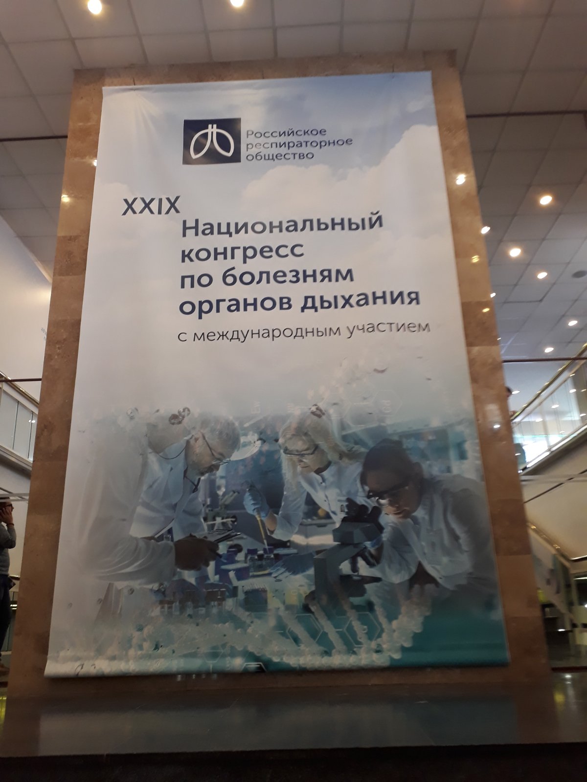 XXIX      